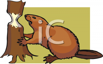 Rodent Clipart