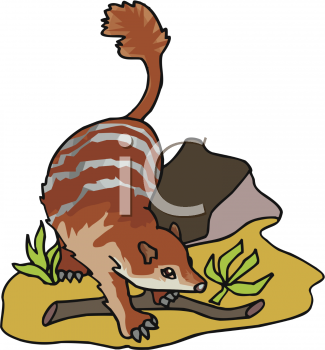 Insect Clipart