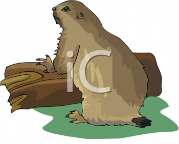 Rodent Clipart