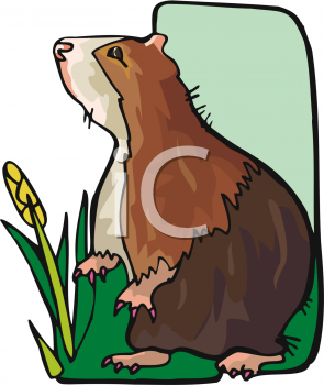 Farm Animal Clipart