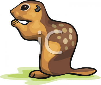 Rodent Clipart