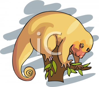 Primate Clipart