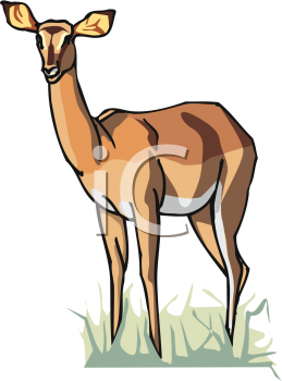 Deer Clipart