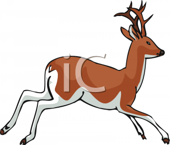 Deer Clipart
