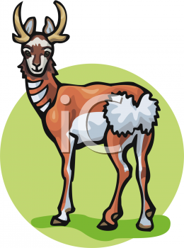 Deer Clipart