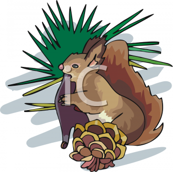 Rodent Clipart