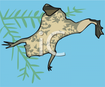 Amphibians Clipart