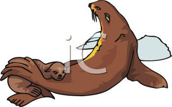 Fish and Sealife Clipart