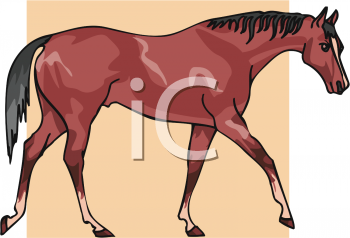 Horse Clipart