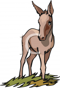 Horse Clipart