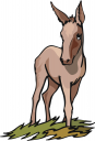 Farm Animal Clipart