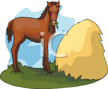 Nature and Scenic Clipart