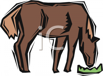 Horse Clipart