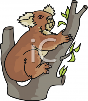 Marsupial Clipart