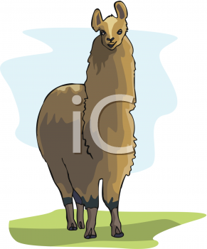 Camel Clipart