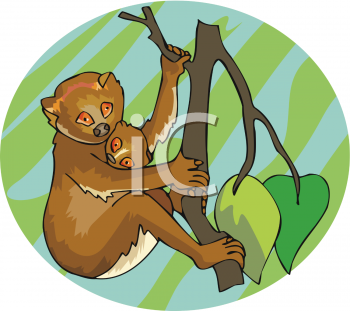 Primate Clipart