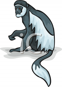 Primate Clipart