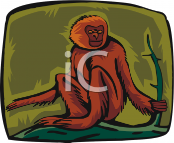 Primate Clipart