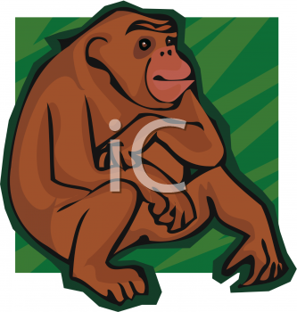 Primate Clipart