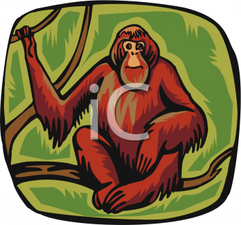 Primate Clipart