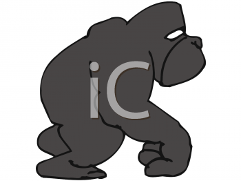 Primate Clipart