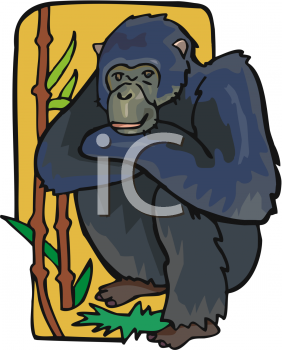 Primate Clipart