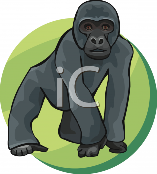 Primate Clipart