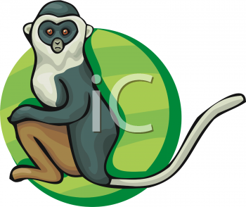 Primate Clipart