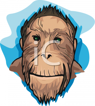 Primate Clipart