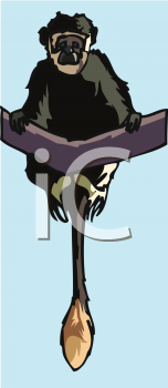 Primate Clipart