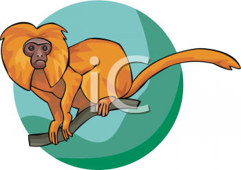 Primate Clipart