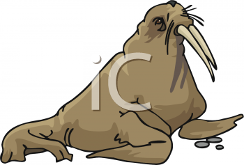 Fish and Sea Life Clipart