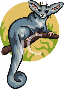 Rodent Clipart