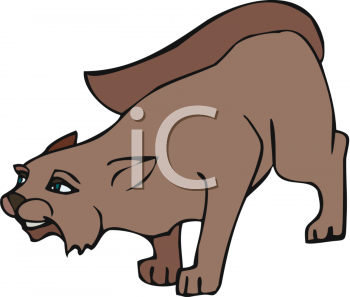 Pet Clipart