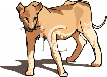 Pet Clipart