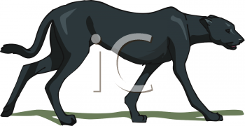 Big Cat Clipart