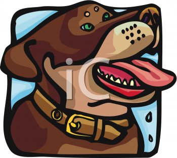 Pet Clipart