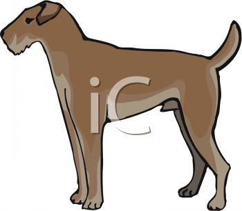 Pet Clipart