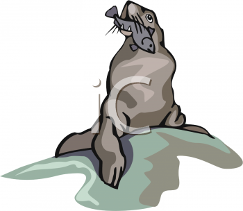 Fish and Sealife Clipart