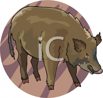 Mammal Clipart
