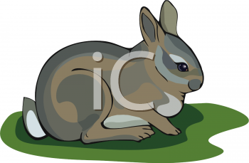 Pet Clipart