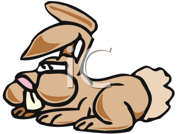 Pet Clipart