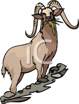 Farm Animal Clipart