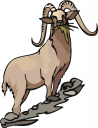 Farm Animal Clipart