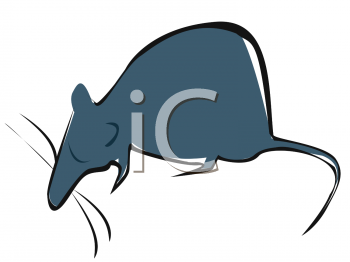 Rodent Clipart