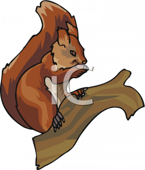 Rodent Clipart