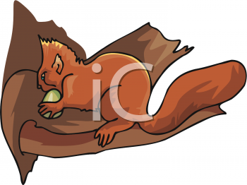 Rodent Clipart