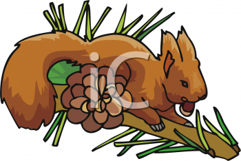 Insect Clipart