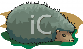Animal Clipart