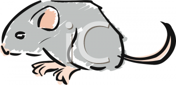Rodent Clipart
